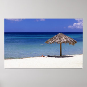 Malmok Beach, Aruba, Netherlands Antilles Poster