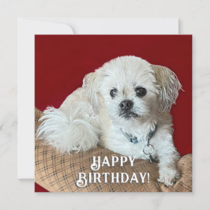 Malshi Birthday Card