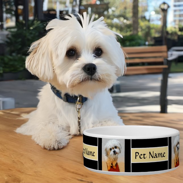 Malshi Black Dog Bowl Customizable (Creator Uploaded)