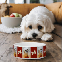 Malshi Dog Bowl with Bone Maroon