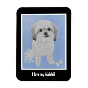 Malshi Dog Flexible Photo Magnet