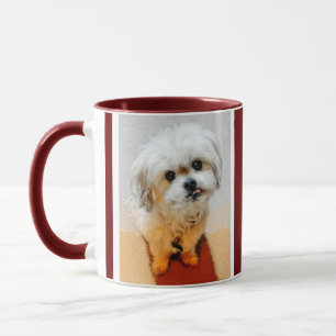 Malshi Dog Maroon Personalised Mug