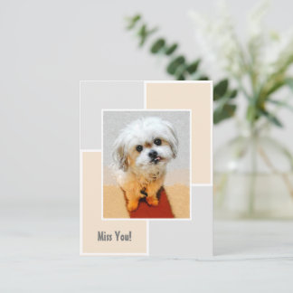 Malshi Dog Miss You Postcard