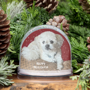 Malshi dog snowglobe