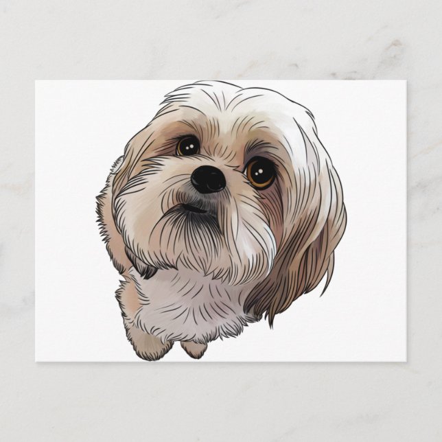 Malshi Mal-shi Postcard (Front)