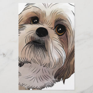 Malshi Mal-shi Stationery