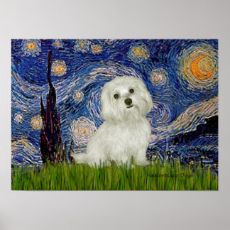 Maltese 11 - Starry Night Poster