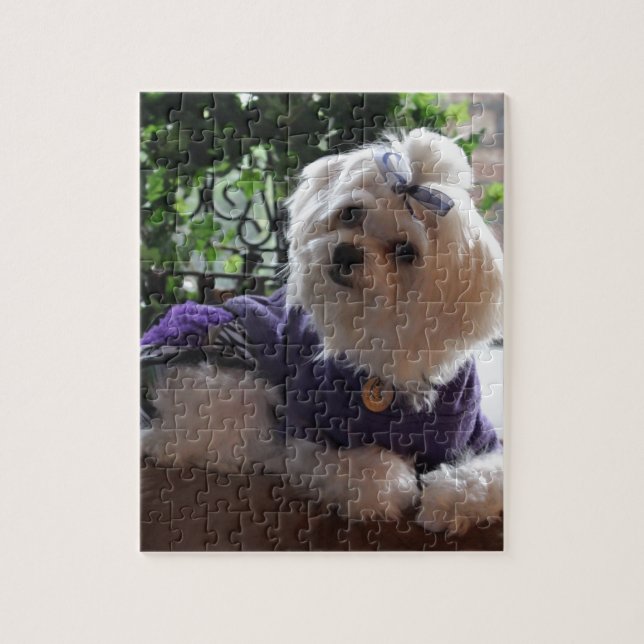 Maltese 2 Gifts Jigsaw Puzzle (Vertical)