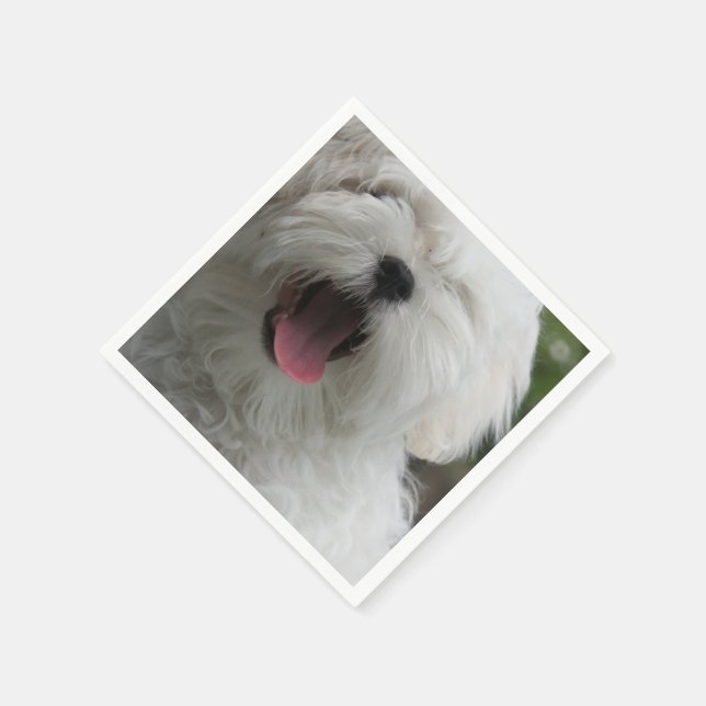 maltese-2 napkin (Corner)