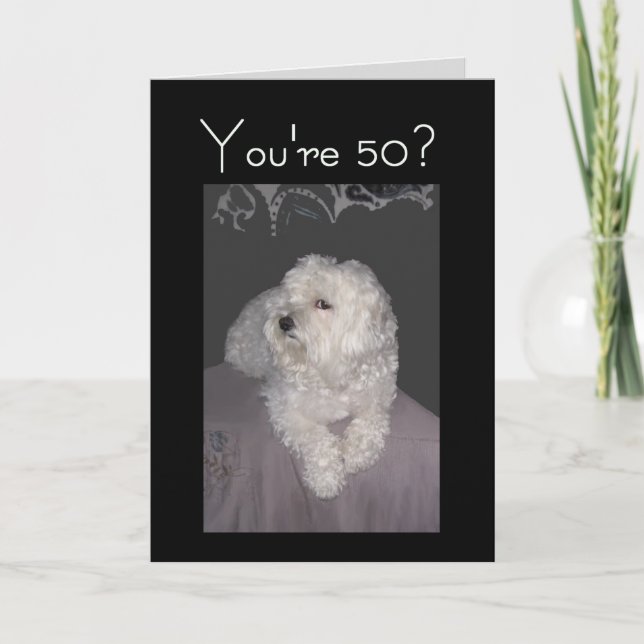 Maltese 50th Birthday Card for Anyone (Front)