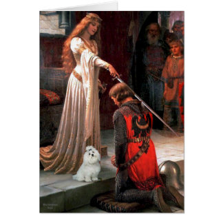 Maltese 6 - The Accolade