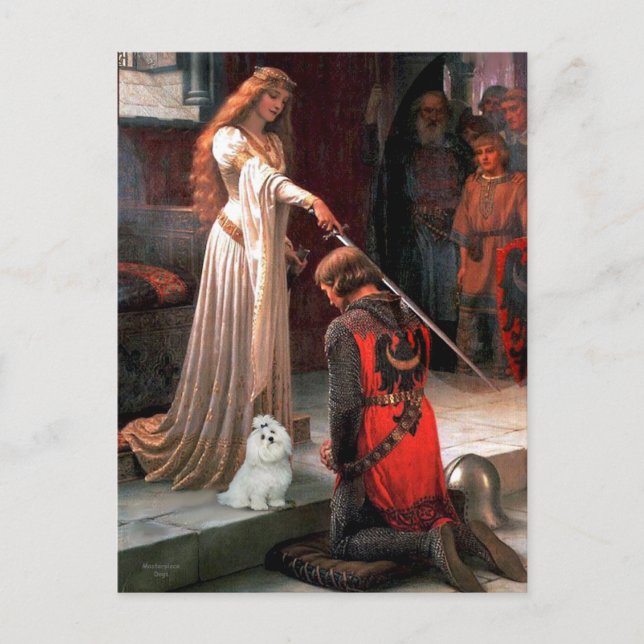Maltese 6 - The Accolade Postcard (Front)