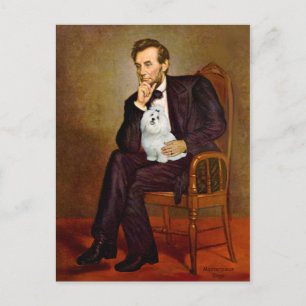 Maltese 7 - Lincoln Postcard