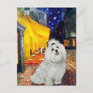Maltese 7 - Terrace Cafe Postcard