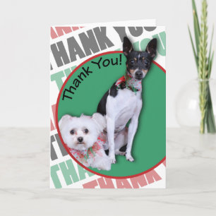 Maltese and Fox Terrier Thank You Card
