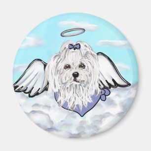 Maltese Angel Magnet
