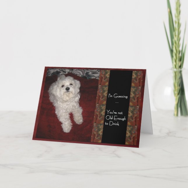Maltese Birthday Humour Card for any Adult (Front)