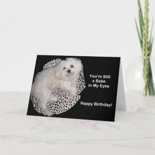 Maltese Birthday Wishes on Black & White Card