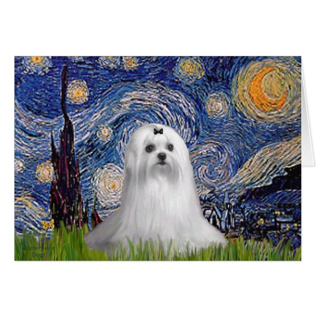 Maltese (C) - Starry Night (Front Horizontal)