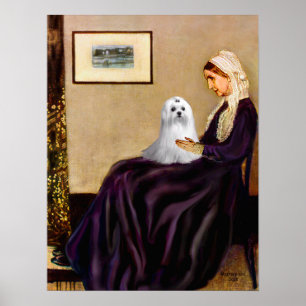 Maltese (C) - Whistlers Mother Poster