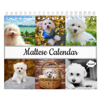 Maltese Calendar