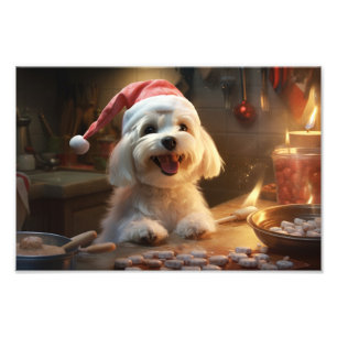 Maltese Christmas Cookies Festive Holiday Photo Print
