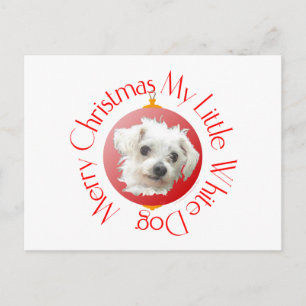 Maltese Christmas Little White Dog Holiday Postcard