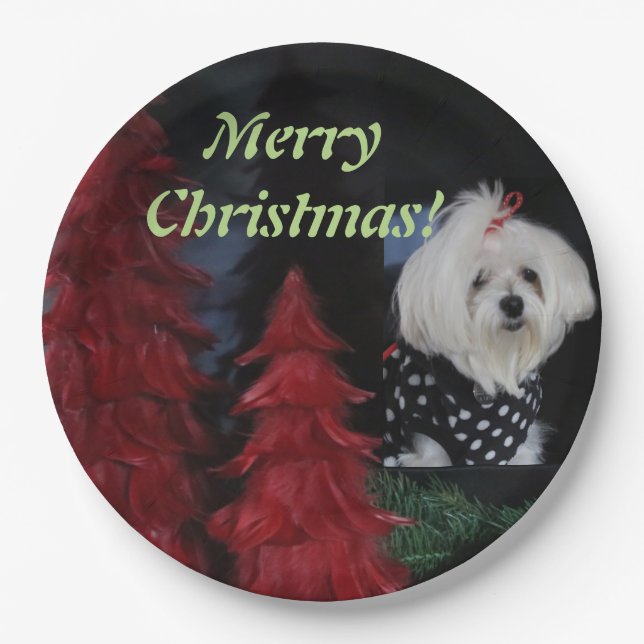 Maltese Christmas Paper Plate (Front)