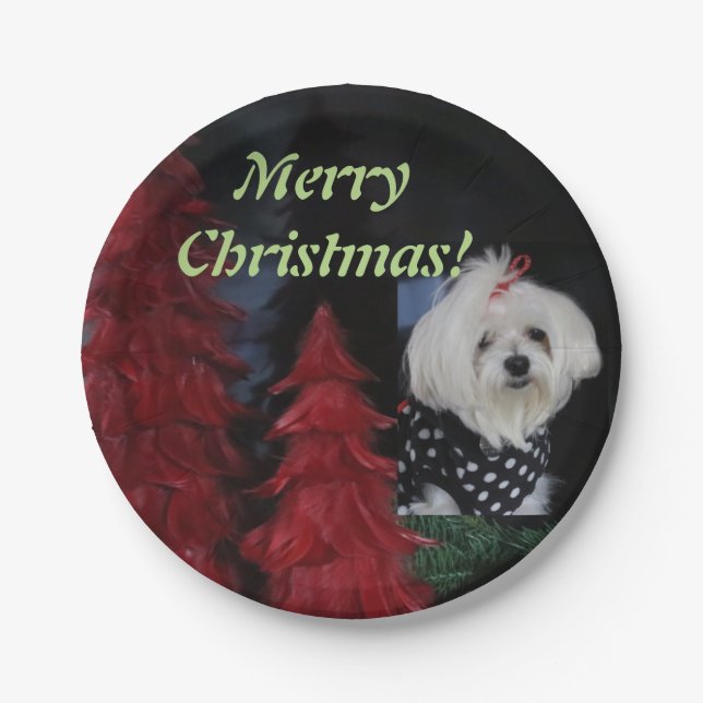Maltese Christmas Paper Plate (Front)