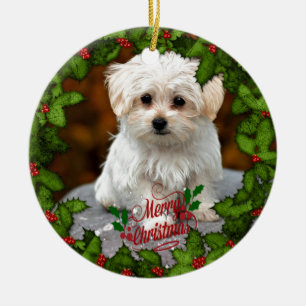 Maltese Christmas Puppy  Ceramic Tree Decoration