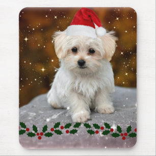 Maltese Christmas Puppy Mouse Mat