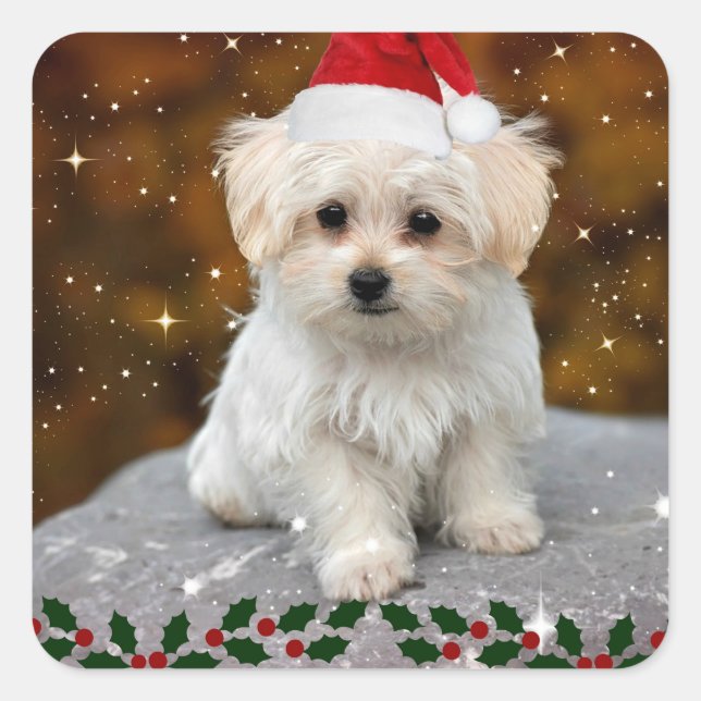 Maltese Christmas Puppy Square Sticker (Front)