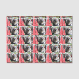 Maltese Christmas with Red Trees Tissue Paper