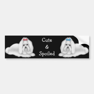 Maltese Cute & Spoiled Bumper Sticker