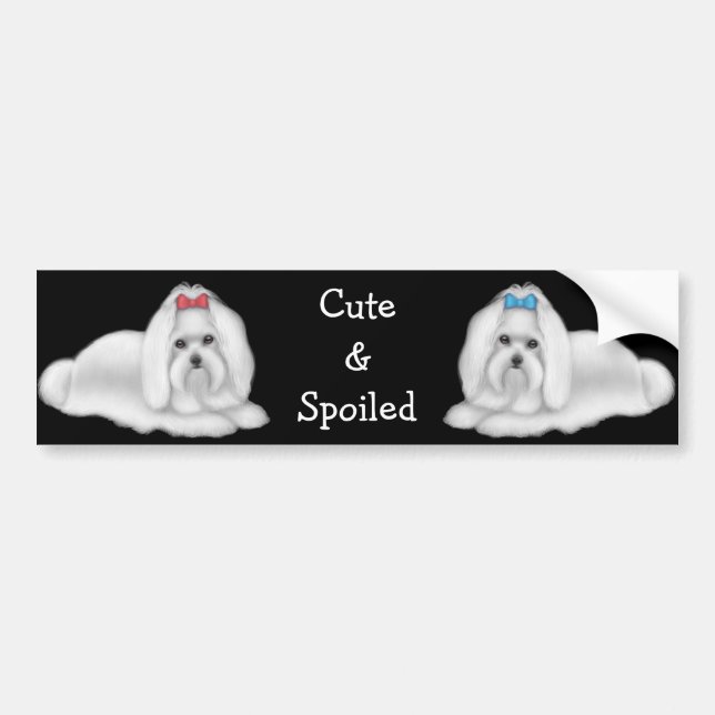 Maltese Cute & Spoiled Bumper Sticker (Front)