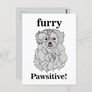 Maltese Dog Animal Pet Funny Postcard