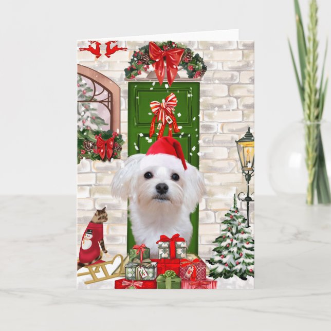 Maltese Dog Christmas  Card (Front)