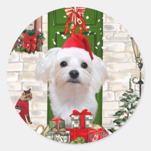 Maltese Dog Christmas  Classic Round Sticker