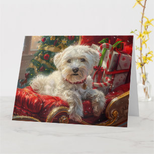 Maltese Dog Christmas Festive Card