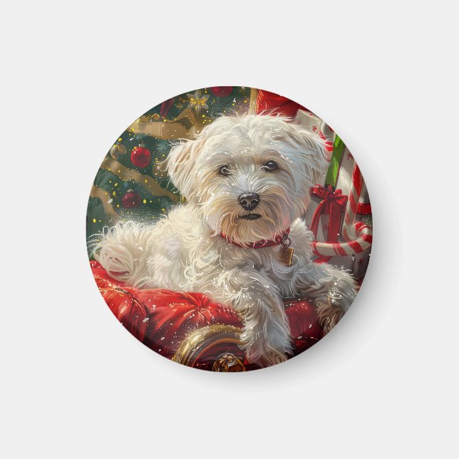 Maltese Dog Christmas Festive Magnet (Front)