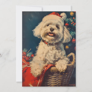 Maltese dog Christmas Holiday Card
