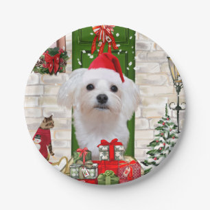 Maltese Dog Christmas  Paper Plate