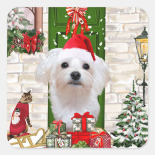Maltese Dog Christmas  Square Sticker