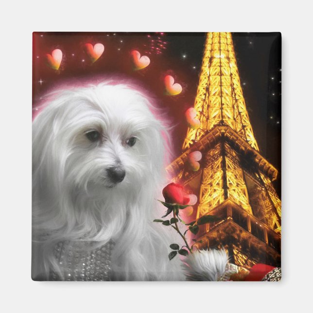 Maltese Dog Eiffel Tower THE SPARK OF LOVE! Magnet (Front)