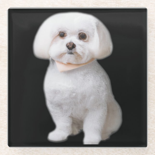 Maltese Dog Glass Coaster (Front)
