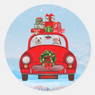 Maltese Dog In Car With Santa Claus  Classic Round Sticker