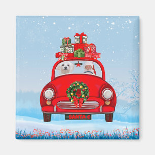Maltese Dog In Car With Santa Claus Magnet