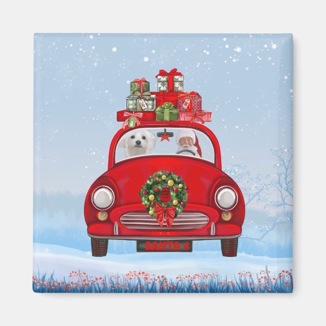 Maltese Dog In Car With Santa Claus Magnet (Front)