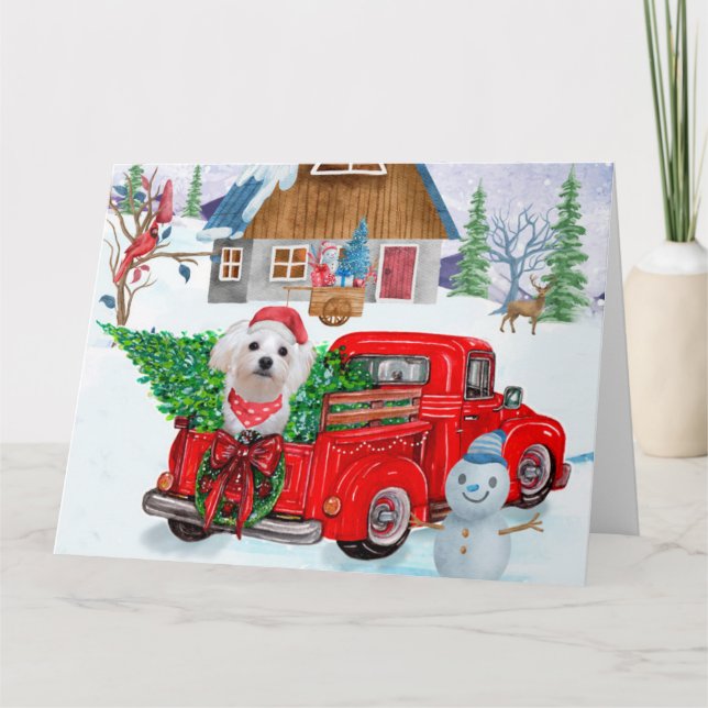 Maltese Dog In Christmas Delivery Truck Snow Card (Front)