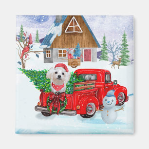 Maltese Dog In Christmas Delivery Truck Snow Magnet